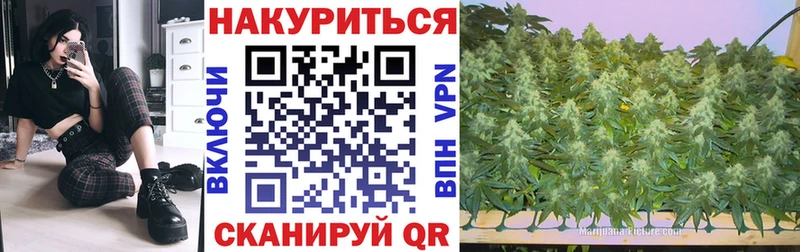 Каннабис индика  наркота  даркнет телеграм  Отрадная 